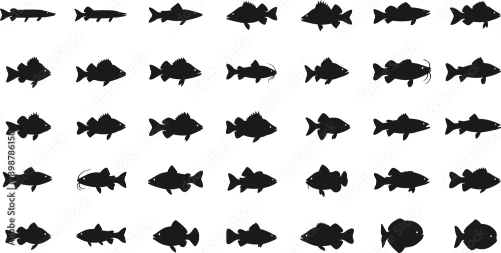 Fototapeta premium Collection of various fish silhouettes for design and educational use