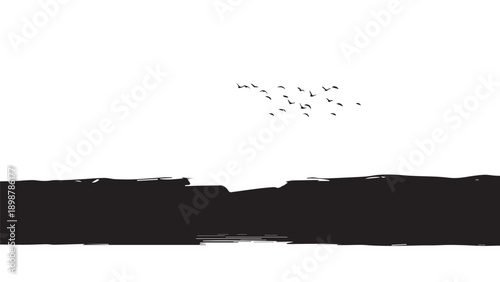 Silhouette of distant birds over a stark horizon in a minimal, monochrome landscape with bold contrast.