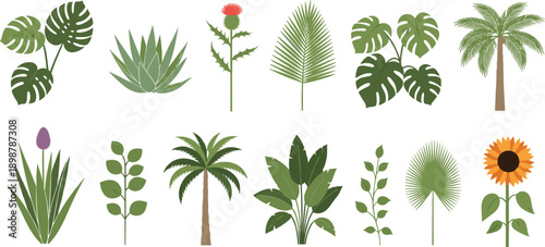 Tropical Botanical Illustration Collection Featuring Palm Trees, Monstera Leaves, Succulents, Flowers, and Green Plants, Flat Vector Nature Elements for Modern Design and Creative Projects
