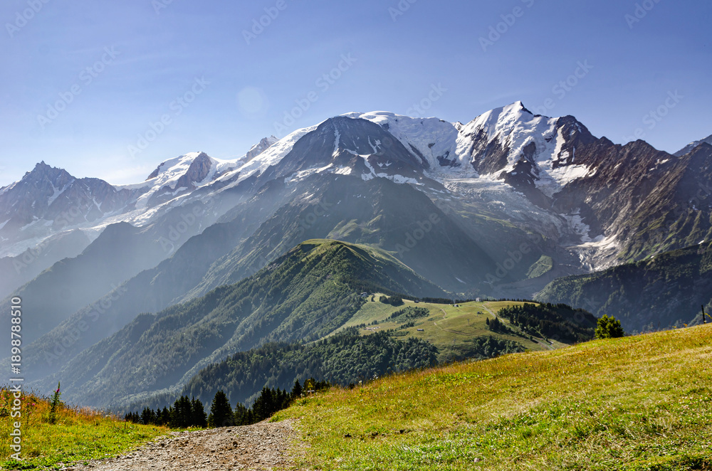 Obraz premium Mountain landscape with alpine flowers, snowy peaks and blue sky, summer travel adventure in scenic highlands