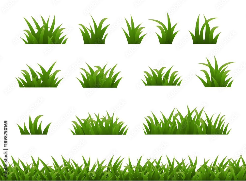 Fototapeta premium Green Grass And White Background