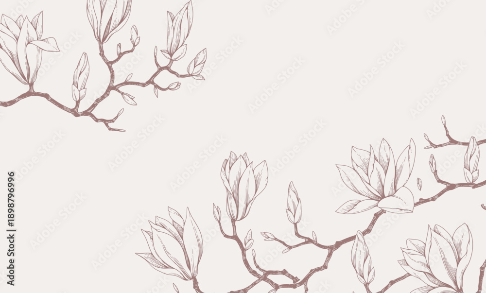 Obraz premium Magnolia blooming. Spring background with flowers and brunch. Detailed botanic floral collection for Valentines day invitation, wallpaper