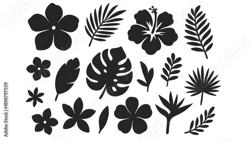 Collection of tropical leaves and flowers in black silhouette