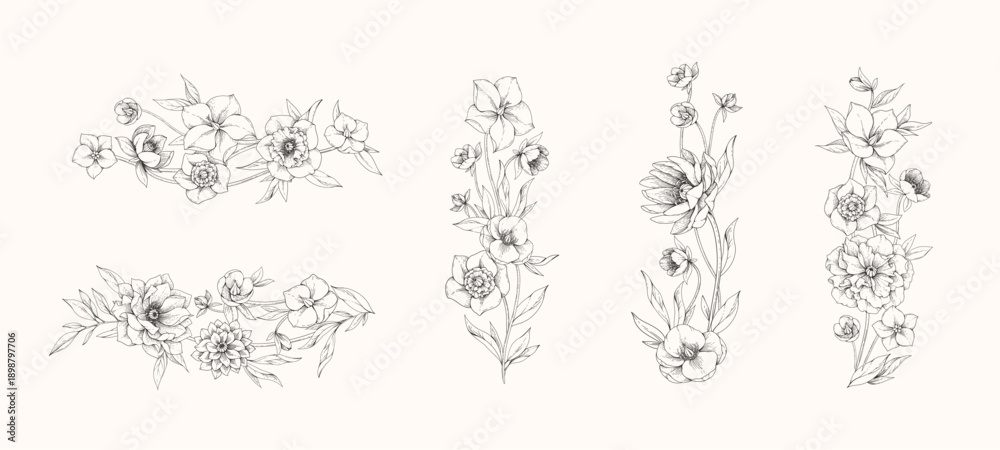 Fototapeta premium Hellebore flowers horizontal border with detailed various foliage, intricate details and delicate forms. Elegant floral design elements. Hand drawn illustration