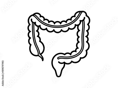 A perfect outline icon of perfect human large intestine colon anatomy vector illustration in black and white