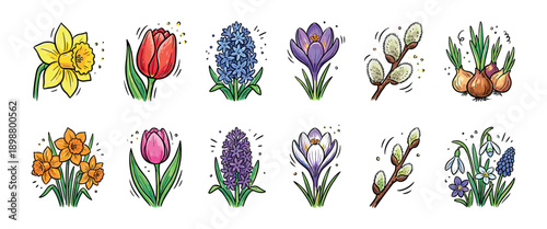 Colorful spring flower doodle illustrations set with daffodil, tulip, crocus, hyacinth, and pussy willow in a vibrant hand-drawn cartoon style for seasonal botanical design