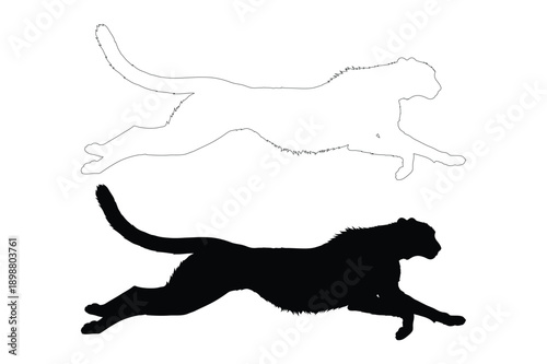 Cheetah running at full speed, outline and silhouette