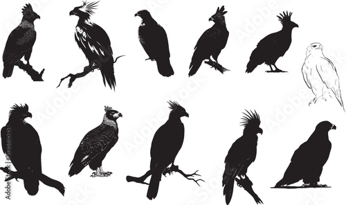 Flock of black crows perched in silhouette minimalist vector illustration isolated on white background

