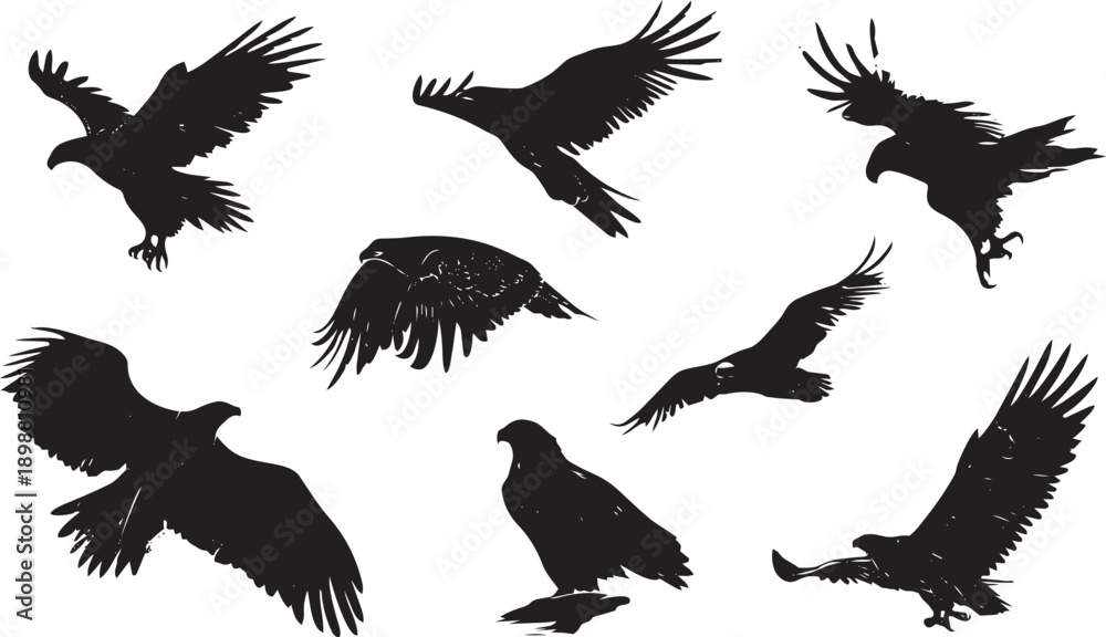 Obraz premium Flock of black birds flying in formation against white background minimalist silhouette nature wildlife motion 
