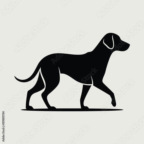 Black silhouette of a dog walking with a collar and leash isolated on white background, Vector, illustration