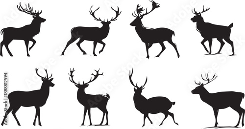 Set of black silhouette deer vector illustrations isolated on white background for wildlife nature design
