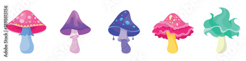 Fantasy mushroom collection. Fabulous Mushrooms.