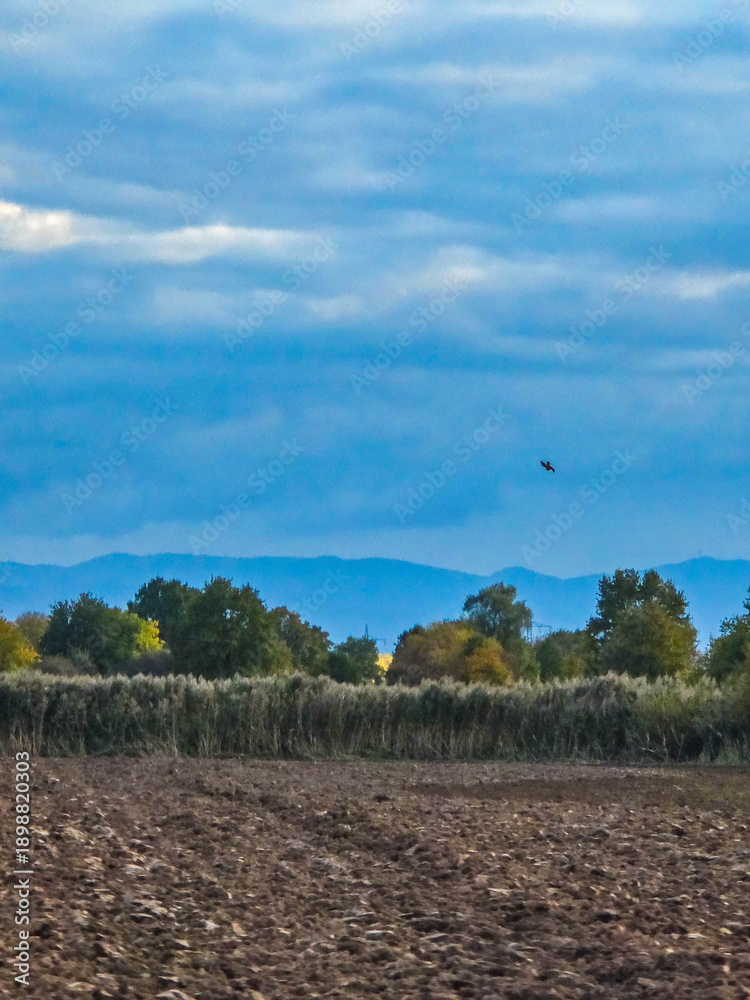 Obraz premium Dramatic Autumn Sky over a Mown Field