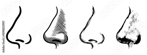 Four hand-drawn human nose illustrations in profile view showing different sketching and ink drawing techniques like line art, cross-hatching, and scribbling in a graphic monochrome style