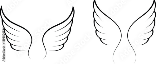 Black and white hand drawn line art vector of angel wings and bird feathers