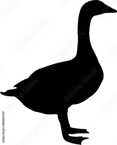 a duck standing body silhouette vector