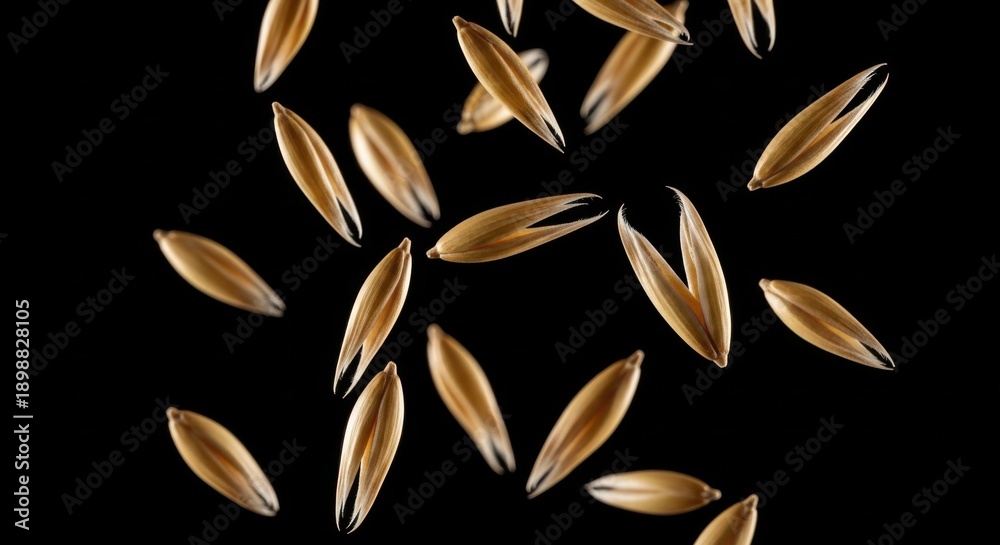 custom made wallpaper toronto digitalFlying oats seeds representing healthy natural breakfast food