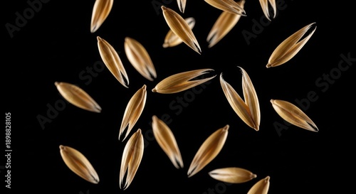 Wallpaper Mural Flying oats seeds representing healthy natural breakfast food Torontodigital.ca