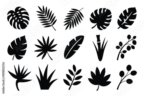 Set tropical leaves silhouette isolated white background monstera palm leaf botanical element