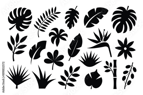 Set tropical leaves silhouette isolated white background monstera palm leaf botanical element