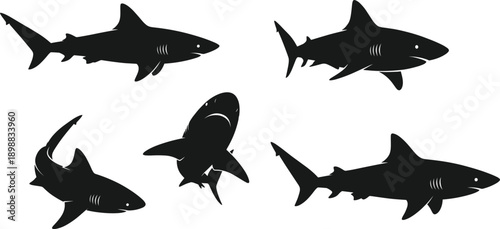 Shark silhouette collection vector in swimming poses