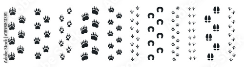 Animal footprints vector set, paw prints and wildlife tracks collection, dog cat bird horse deer silhouettes, simple flat trail icons on transparent background