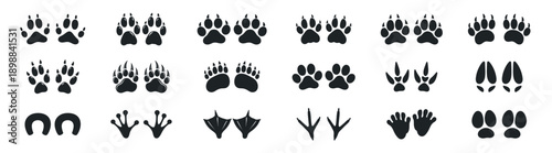 Animal paw prints set, wild and pet footprints collection, simple flat vector silhouettes on transparent background