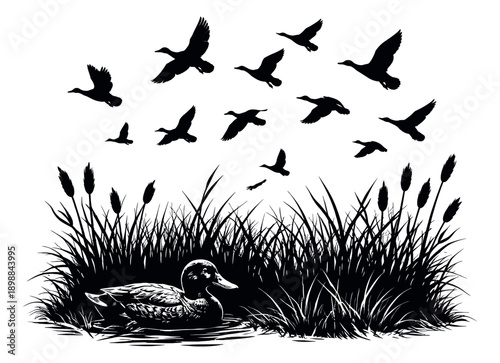 Silhouette duck and marsh grass set featuring a swimming duck and flying waterfowl for wetland nature designs