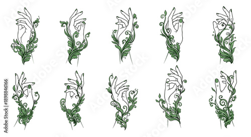 Collection of various green leafy plant illustrations with detailed designs