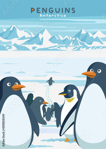 Penguin walking toward the mountains, a group of penguins in Antarctica.