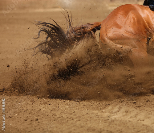 A close up action  photo of a horse sliding in the dirt.