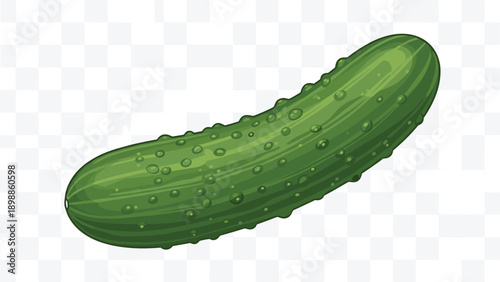 Cucumber illustration, green vegetable graphic, realistic texture, food icon, healthy produce image, transparent background design element