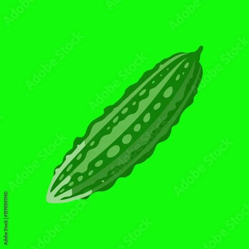 Bitter gourd illustration for healthy eating concepts