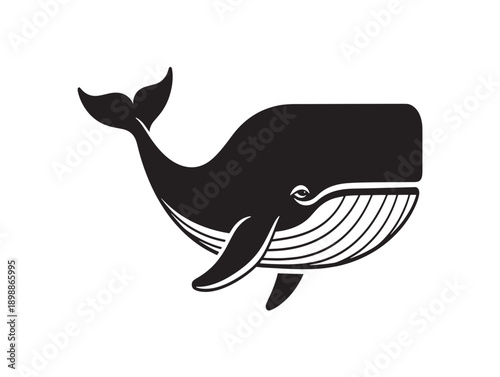 Minimalist black and white whale vector illustration