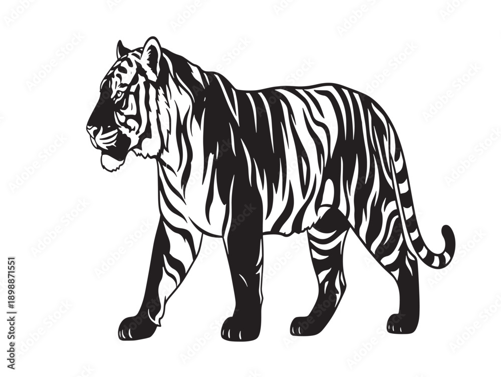 Fototapeta premium Minimalist black and white tiger vector illustration