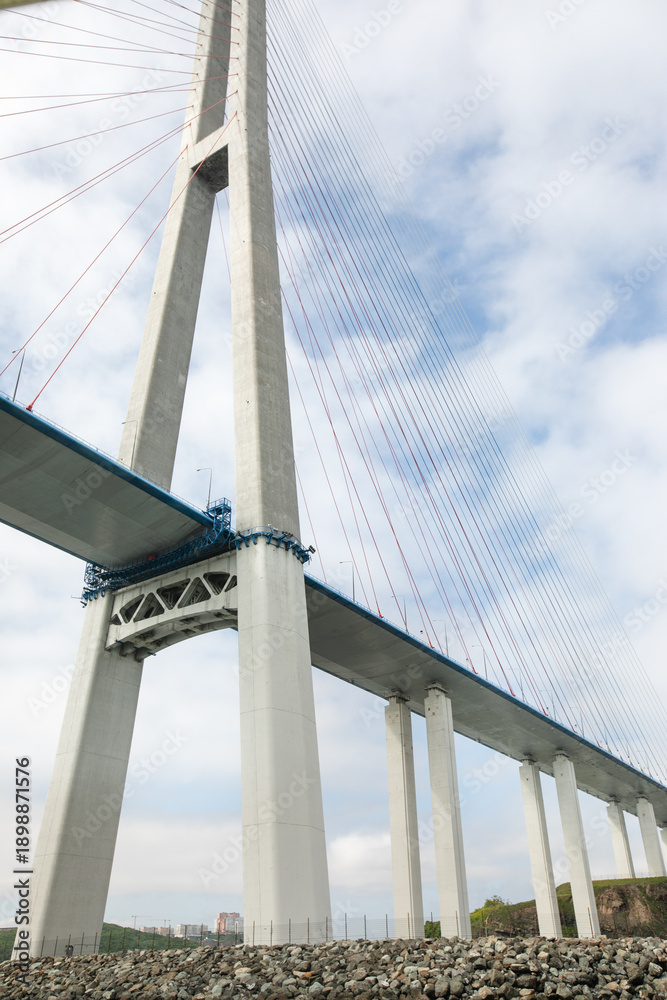 Obraz premium bridge over the river