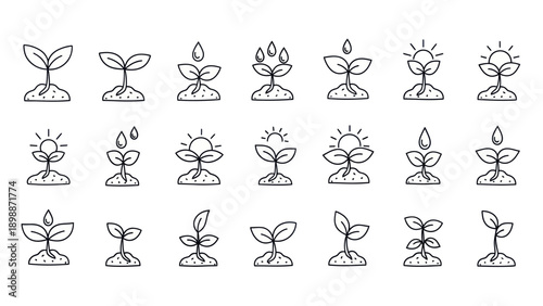 Seedling Growth Stages Icons: Sprouts, Watering, Sunlight, Development Vector Art