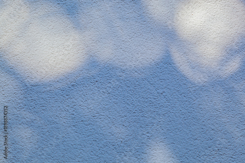 Light shining through the leaves onto the textured wall creates soft, dreamy shadows.