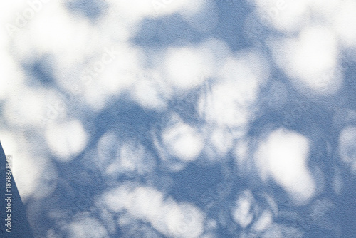 Light shining through the leaves onto the textured wall creates soft, dreamy shadows.
