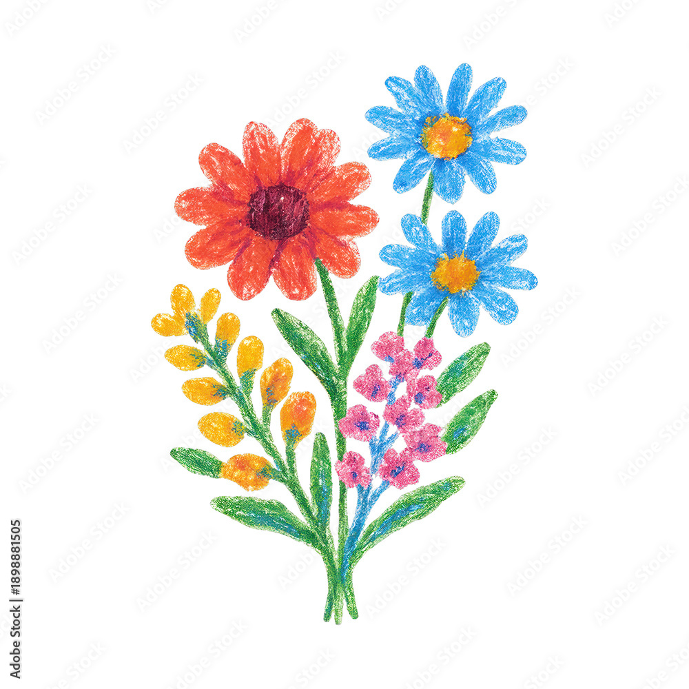 Fototapeta premium PNG Colorful hand-drawn floral illustration