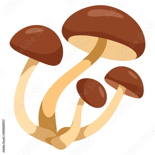 Illustration with cluster of honey fungus mushrooms autumn forest fungi isolated on white background suitable for nature biology and forest themes