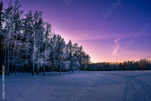 Obraz na płótnie "Frozen Serenity: Purple Sunset Over a Snowy Nordic Forest"
