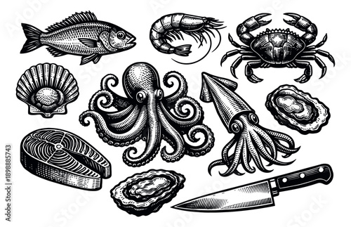 Hand drawn line art seafood set featuring fish, octopus, crab, and shellfish with a knife for restaurant menus