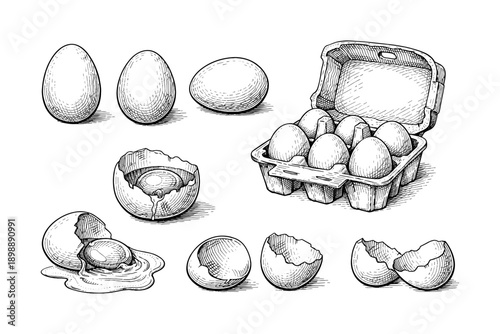 Hand-drawn egg collection: whole, broken, and carton illustrations in black and white