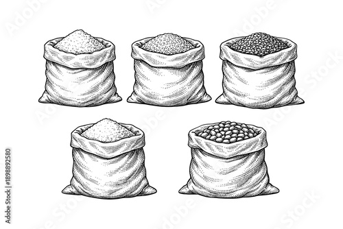 Hand-drawn bags of grain and legumes in detailed black and white sketch