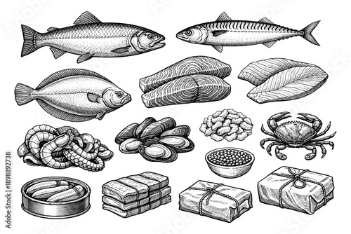 Assorted seafood and fish illustrations: salmon, mackerel, crab, shrimp, oysters, and fish fillets