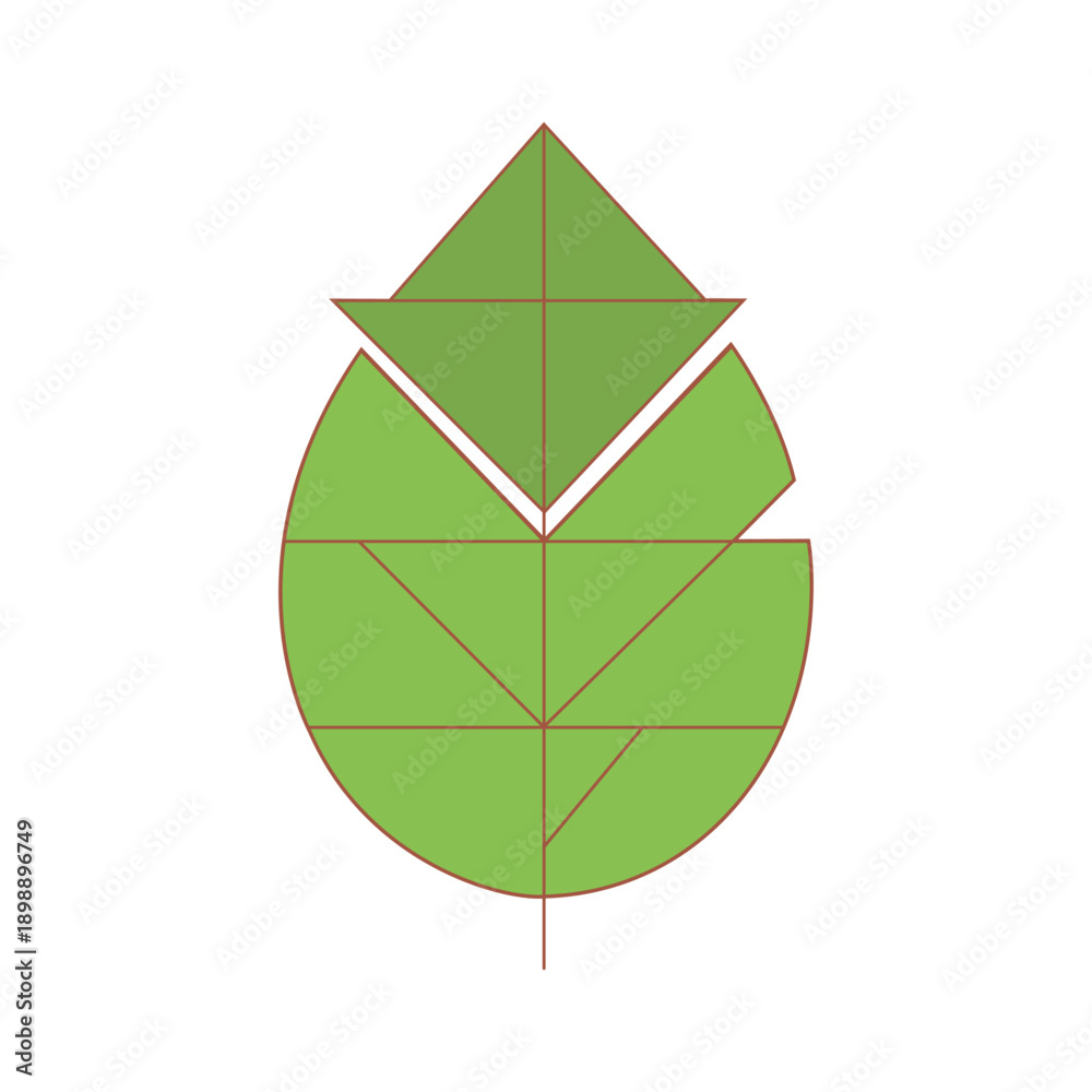Obraz premium vector green leaf isolated on white