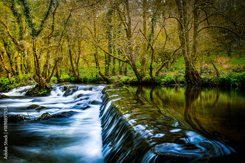 Smooth water cascading over a forest weir, surrounded by lush green trees and soft reflections. A peaceful nature scene with long-exposure motion and serene woodland atmosphere.