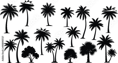 Flat vector illustration of 16 unique palm tree silhouettes in various shapes and styles, perfect for tropical, nature, and travel-themed designs high resolution picture