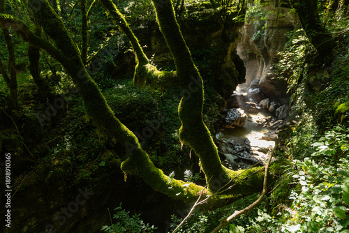 Foto Martvili Canyon, Kutaisi, Georgia